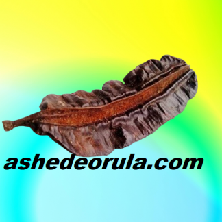 VAINA DE AIRA O ARIDAN